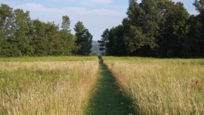 Create Your Future on a Walk