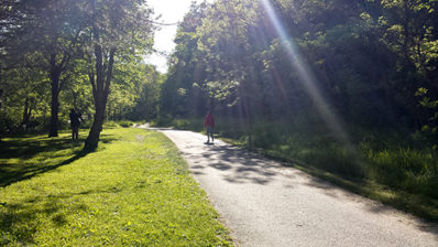 Angels Whisper… on a Walk