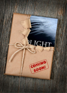 blackburn-mcbride-birdlight-book-launch-save-date-blog-5-20-2016