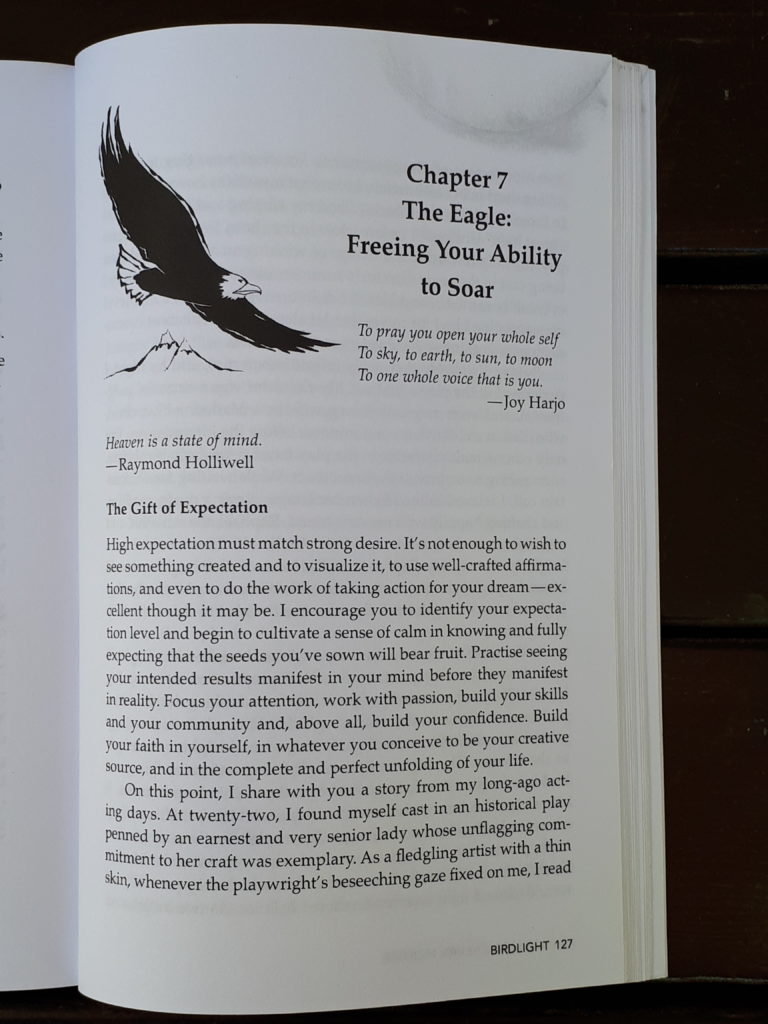 Story beyond the book-eagle-illustration-birdlight-robin-blackburn-mcbride