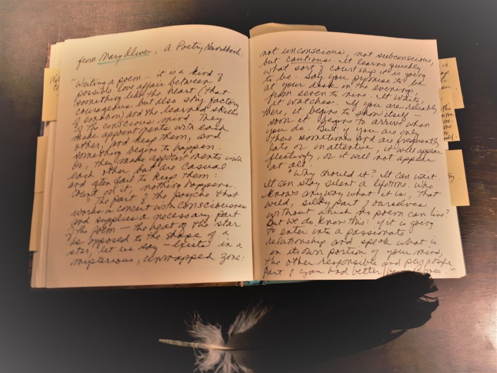  Law of Sacrifice: Journal open with vulture feature
