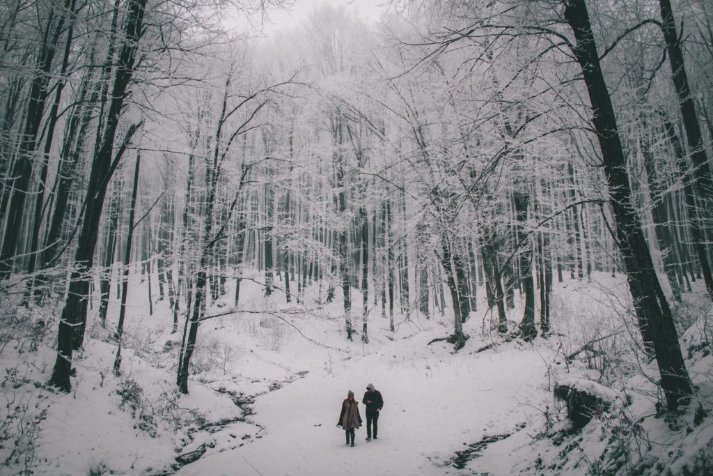 Thriving in a Dark Season Forest bathing in winter walking in the snow