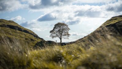 Sycamore Gap