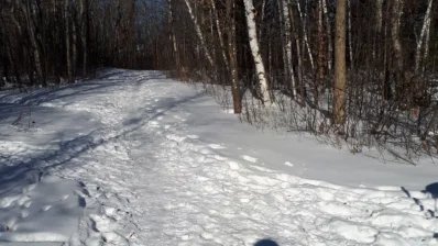 At the Crossroads, the New Year