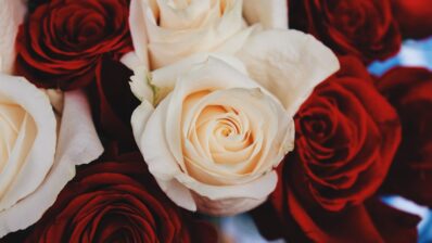 What Colour is Your Flower?