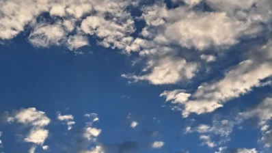 August, the Dance