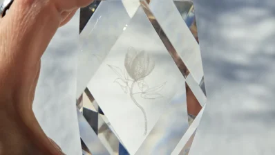 A Single Bloom